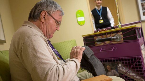 Albert Lexie Shoeshine Man Retires After Donating Over 200000 in Tips