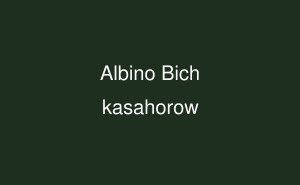 Albino Bich Albino Bich Swahili kasahorow for Children