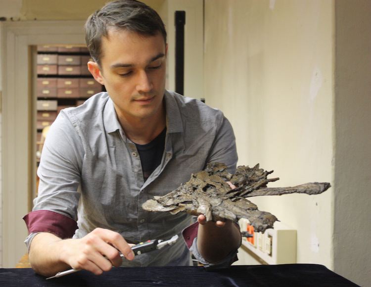 Alex Hastings Dr Alex Hastings named assistant curator of paleontology Virginia