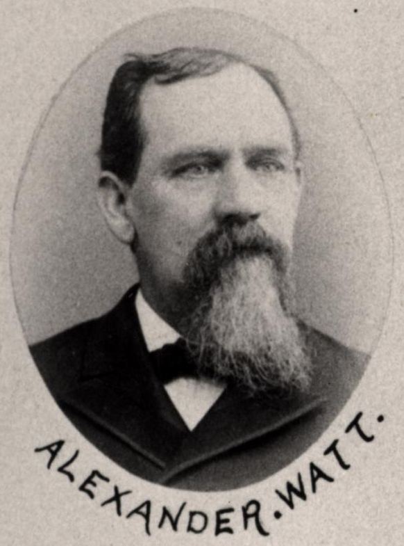 Alexander Watt (politician)