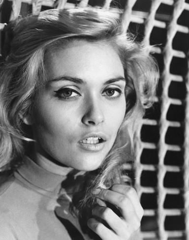 Alexandra Bastedo Alexandra Bastedo Photo at AllPosterscom