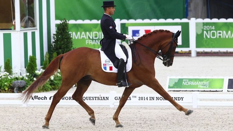 Alexandre Ayache Alltech FEI World Equestrian Games 2014 in Normandy