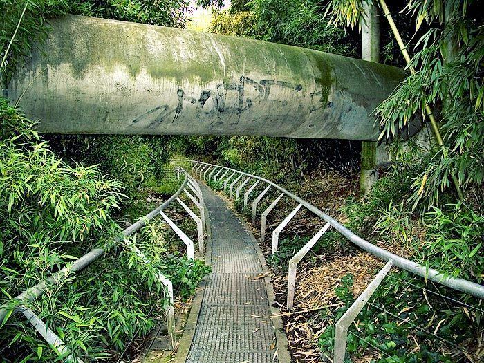 Alexandre Chemetoff The Bamboo Garden Parc de la Villette Paris Designed by