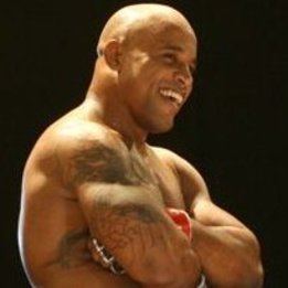 Alexandre Ferreira (fighter) Rousimar Palhares vs Alexandre Ferreira UFC 134 MMA Bout Page
