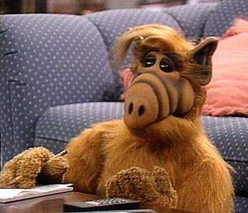 ALF (TV series) 1000 ideas about Alf Tv Series on Pinterest The 80s 80 s and