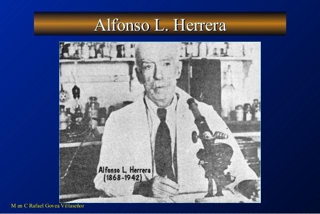 Alfonso L. Herrera Algunos tpicos histricos y epistemolgicos de la abiogenesis