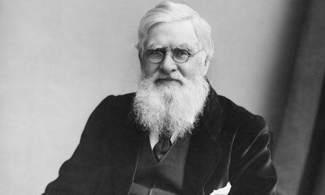 Alfred Russel Wallace Darwin did not cheat Wallace out of his rightful place in