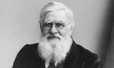 Alfred Russel Wallace Alfred Russel Wallace the forgotten man of evolution