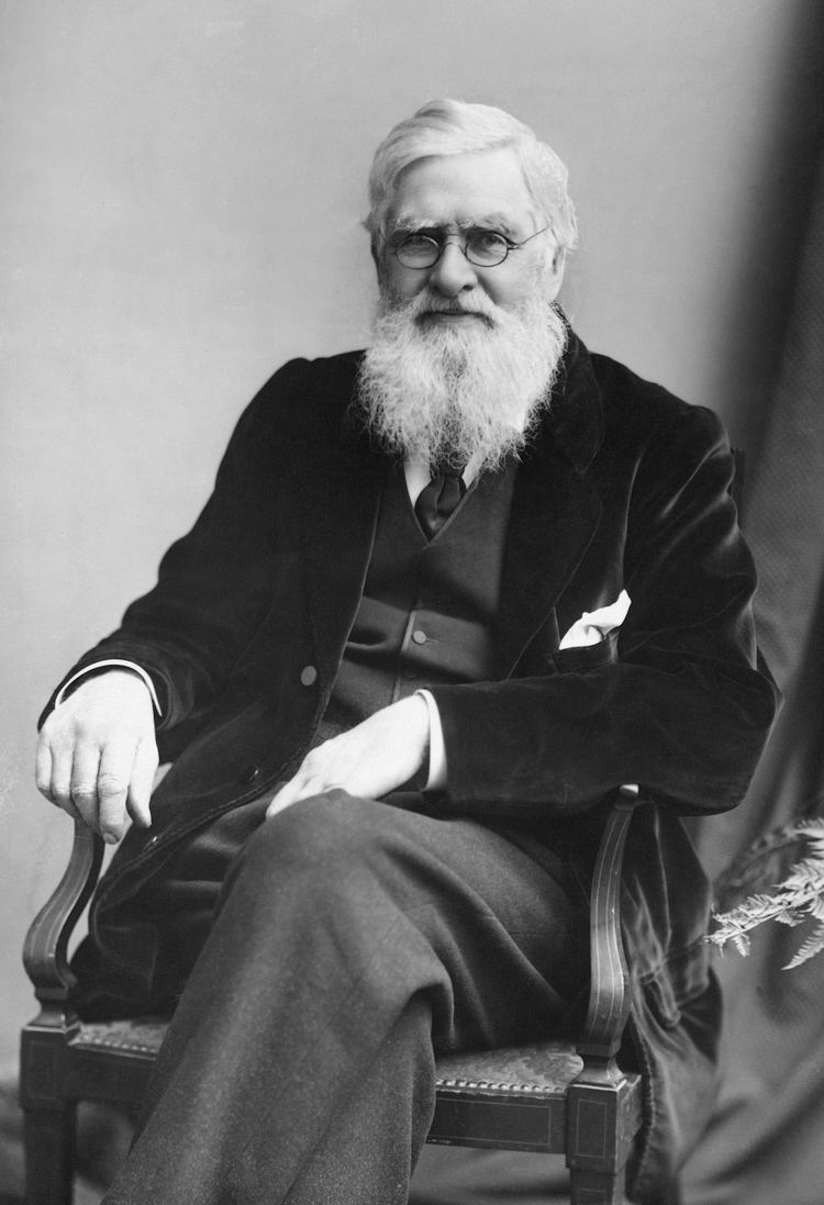 Alfred Russel Wallace httpsuploadwikimediaorgwikipediacommonsdd