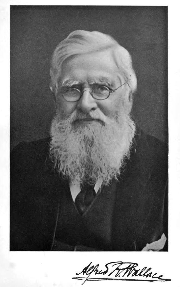 Alfred Russel Wallace Alfred Russel Wallace Professor Olsen Large