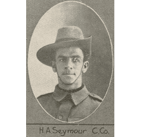 Alfred Seymour (cricketer) Harold Alfred Seymour Discovering Anzacs National Archives of