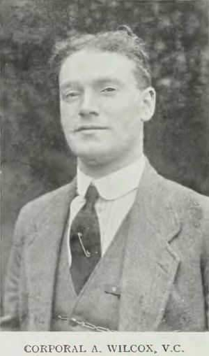 Alfred Wilcox (cricketer) Alfred Wilcox Wikipedia