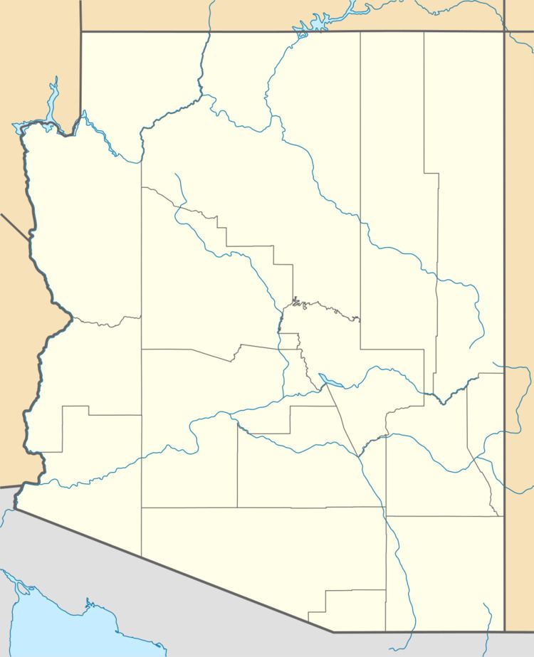 Ali Molina, Arizona