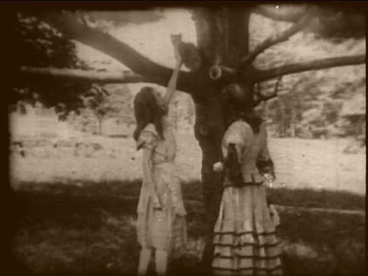 Alice in Wonderland (1915 film) Alice in Wonderland 1915 A Silent Film Review Movies Silently
