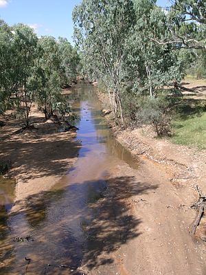 Alice River (Barcoo River) httpsuploadwikimediaorgwikipediacommonsthu