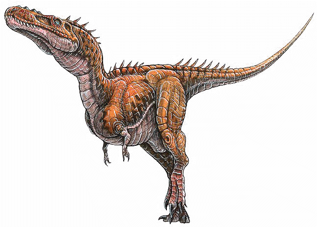 Alioramus Alioramus remotus a tyrannosaur dinosaur