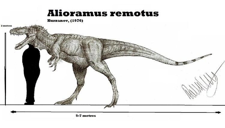 Alioramus Alioramus Pictures amp Facts The Dinosaur Database