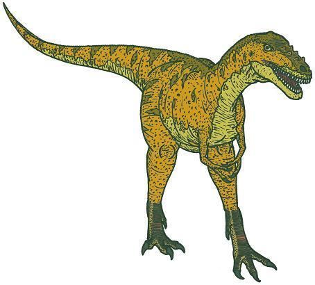 Alioramus Alioramus Dinosaur Facts information about the dinosaur alioramus