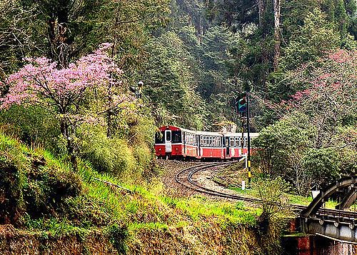 Alishan Forest Railway Alishan Forest Railway Taiwan Alishan Forest Railway was Flickr
