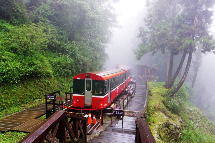 Alishan Forest Railway Alishan Mountain Taiwan Photo Gallery InspirationSeekcom
