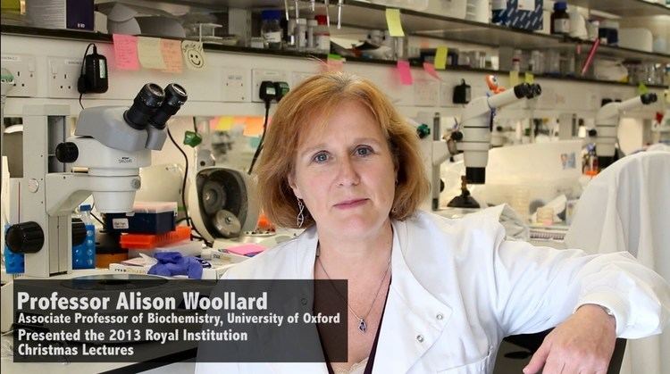 Alison Woollard Professor Alison Woollard talks to FindAPhDcom about PhD study