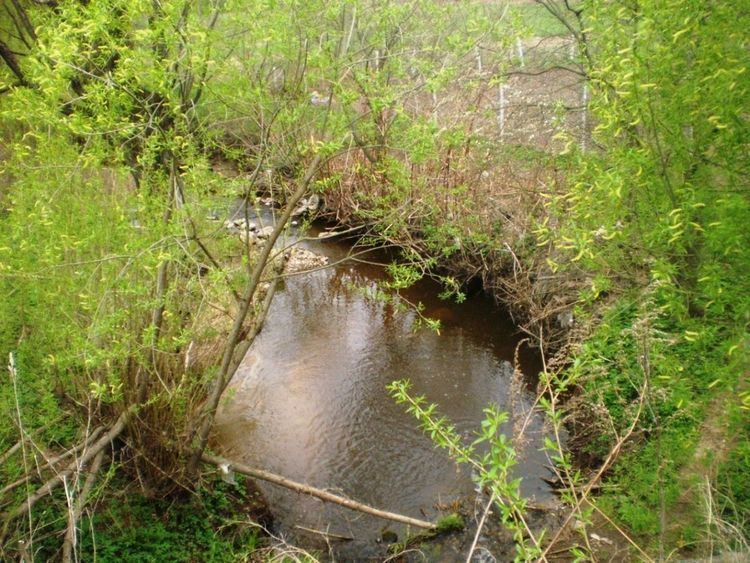 Alkupis (Nevėžis)