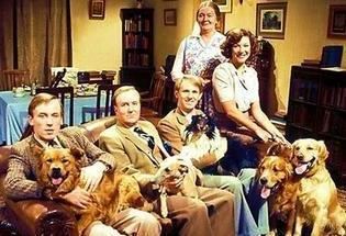 All Creatures Great and Small (TV series) All creatures Great and Small DalesBound