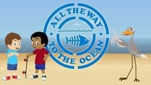 All the Way to the Ocean httpsivimeocdncomvideo561907348295x166jpg
