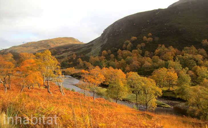 Alladale Wilderness Reserve Rewilding Britain We Tour the Spectacular Scottish Highlands with