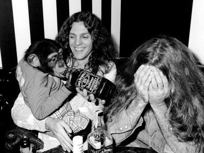 Allen Collins sitting down with a bandmate and happily carrying a chimpanzee.