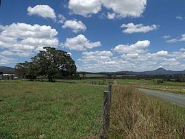 Allenview, Queensland httpsuploadwikimediaorgwikipediacommonsthu