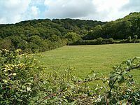 Aller and Beer Woods httpsuploadwikimediaorgwikipediacommonsthu