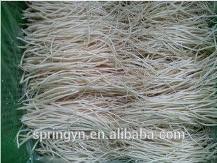 Allium hookeri Allium Hookeri Allium Hookeri Suppliers and Manufacturers at