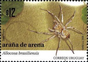 Allocosa brasiliensis Stamp Wolf Spider Allocosa brasiliensis Uruguay Fauna MiUY