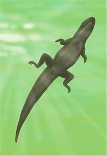 Allognathosuchus httpsuploadwikimediaorgwikipediacommonsthu
