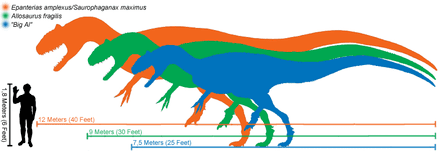 Allosauridae valentint Largest prehistoric animals Vol 1