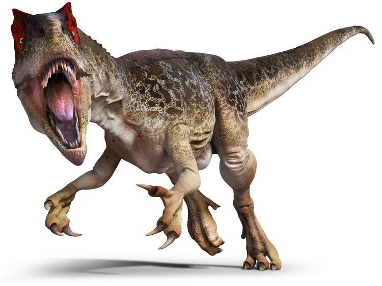 Allosaurus Allosaurus Allosaurus facts DK Find Out