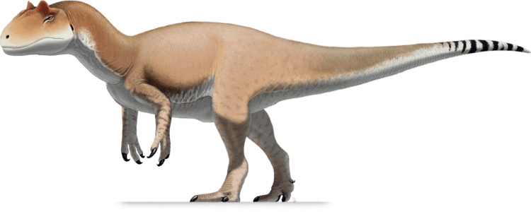 Allosaurus ALLOSAURUS DinoChecker dinosaur archive