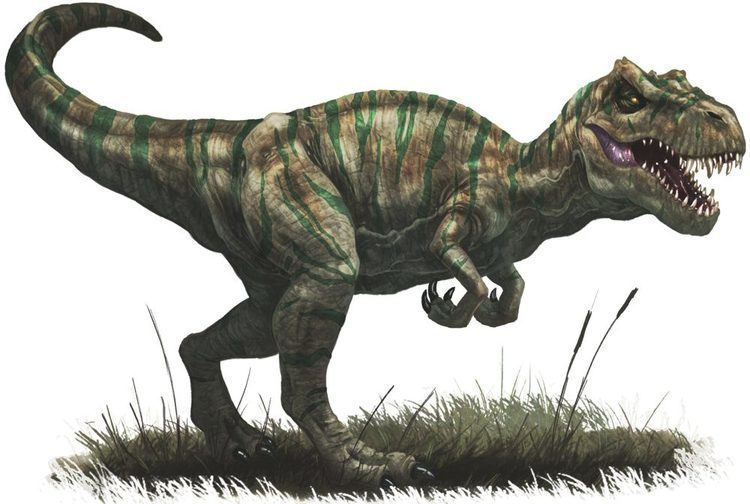 Allosaurus Allosaurus Facts Pictures Habitat Adaptation and Behavior