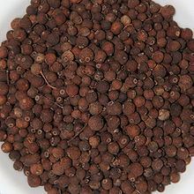 Allspice httpsuploadwikimediaorgwikipediacommonsthu