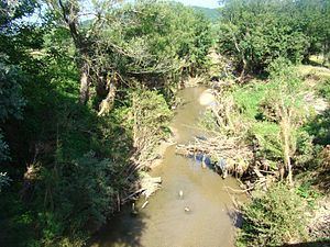 Almaș River (Someș) httpsuploadwikimediaorgwikipediacommonsthu