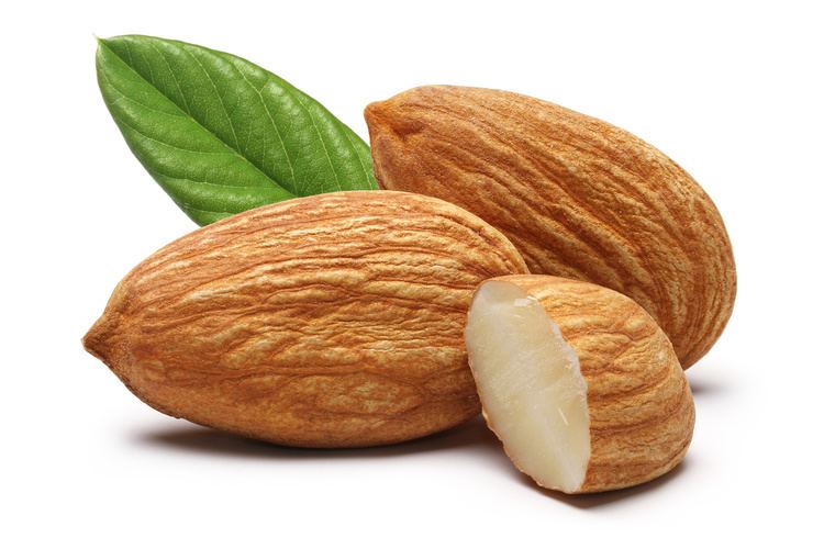 Almond The meaning and symbolism of the word Almond