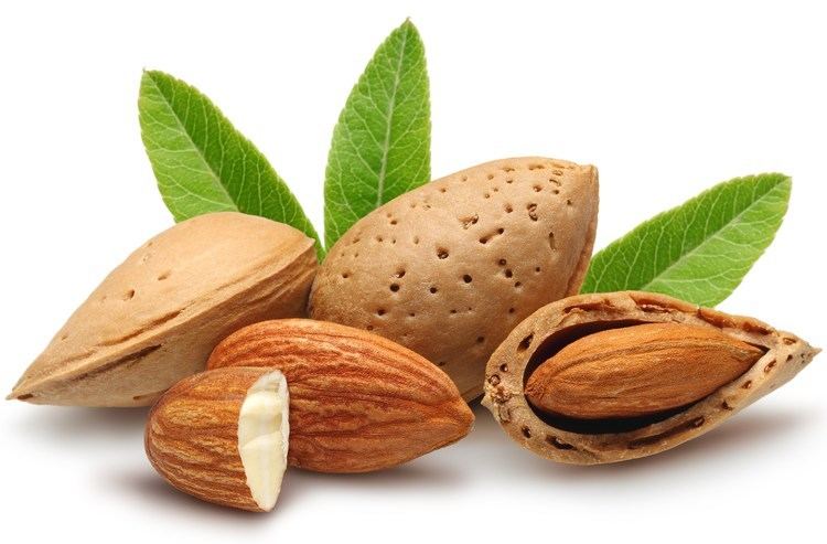 Almond The meaning and symbolism of the word Almond