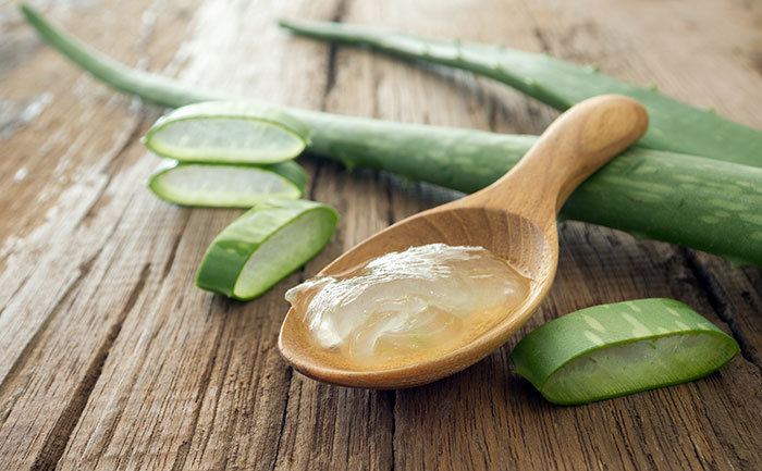 Aloe vera 17 Amazing Benefits Of Aloe Vera Ghritkumari For Skin Hair And
