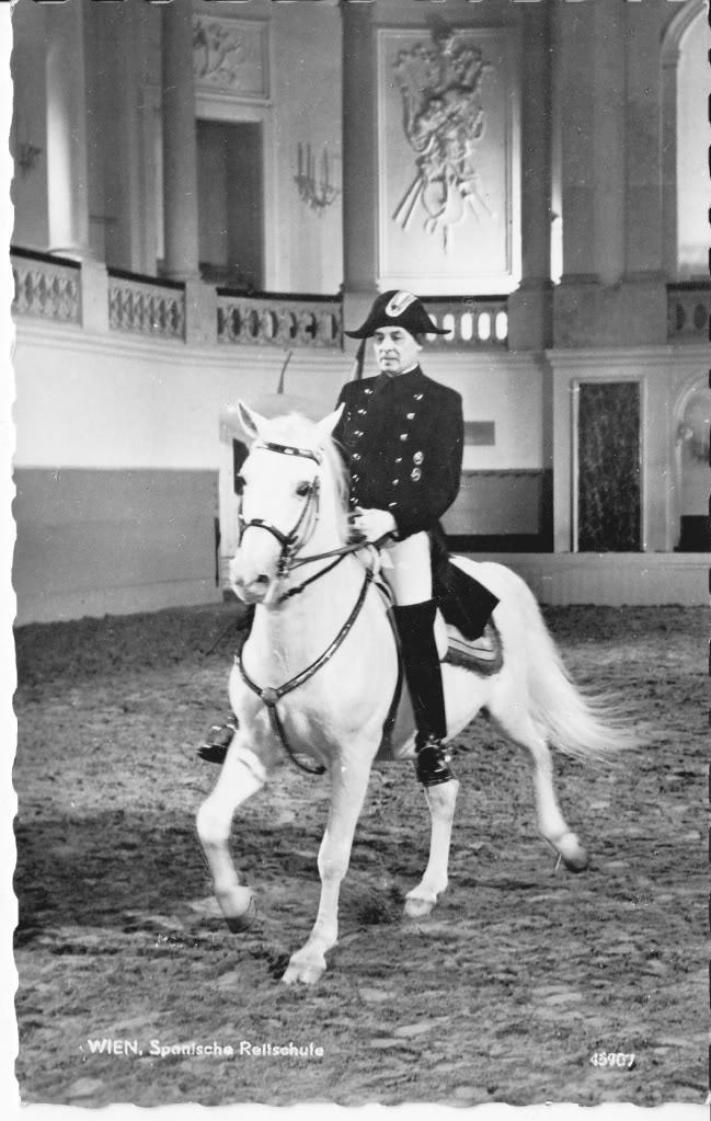 Alois Podhajsky The Circus quotNO SPIN ZONEquot Vintage Spanish Riding School