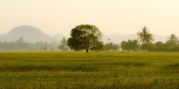 Alor Setar Beautiful Landscapes of Alor Setar