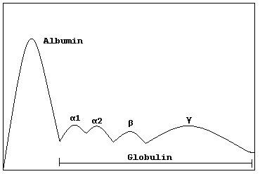Alpha globulin