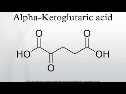 Alpha-Ketoglutaric acid AlphaKetoglutaric acid YouTube