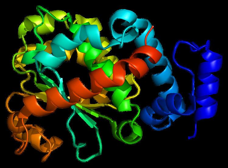 Alpha-tocopherol transfer protein