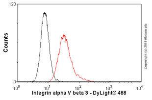 Alpha-v beta-3 AntiIntegrin alpha V beta 3 antibody 271 VNR1 ab78289